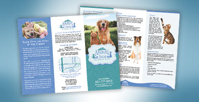 Small Business Tri-Fold Brochure Design